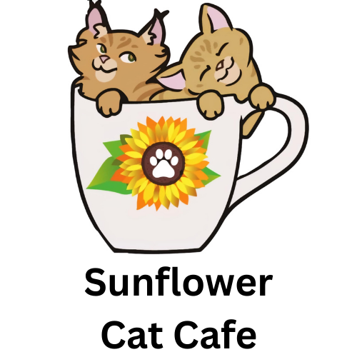Sunflower Cat Cafe $50 Gift Card